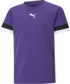 Футболка дитяча Puma TEAMRISE JERSEY JR фіолетова 704938-10