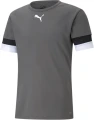 Футболка Puma TEAMRISE JERSEY сіра 704932-13