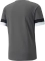 Футболка Puma TEAMRISE JERSEY сіра 704932-13