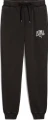 Спортивні штани Puma CLASS WASHED чорні 68464201