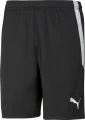 Шорти Puma TEAMLIGA чорні 704924-03