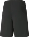 Шорти Puma TEAMLIGA чорні 704924-03