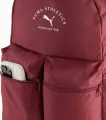 Рюкзак подростковый Puma PHASE CLASS BACKPACK YOUTH 20L бордовый 091734-20
