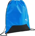 Сумка-мішок Puma TEAMGOAL GYM SACK 16L синьо-чорна 090240-02