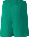 Шорти дитячі Puma TEAMRISE SHORT JR зелені 704943-05