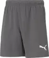 Шорти дитячі Puma TEAMRISE SHORT JR сірі 704943-13