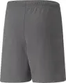 Шорти дитячі Puma TEAMRISE SHORT JR сірі 704943-13