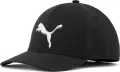 Кепка Puma ADDISON STRETCH FIT чорна 858588-01