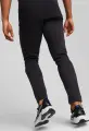 Спортивний костюм Puma EVOSTRIPE чорний 585812-01__585814-01
