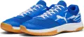 Кросівки для залу Puma VARION II INDOOR сині 107341-03