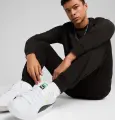 Спортивні штани Puma ESSENTIALS NO. 1 LOGO чорні 68260601