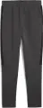 Спортивные штаны Puma EVOSTRIPE CORE темно-серые 63153307
