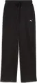 Спортивні штани жіночі Puma CLASS COMFORT PINNACLE HIGH-WAIST STRAIGHT чорні 69072901