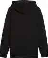 Толстовка Puma ESSENTIALS NO. 1 LOGO чорна 68258601