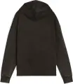 Худі жіноче Puma ESSENTIALS ELEVATED RELAXED WASH чорне 68810301