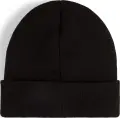 Шапка Puma ESSENTIALS MID CROWN BEANIE чорна 2640004