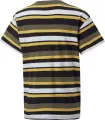 Футболка підліткова Puma ALPHA STRIPED оливково-чорно-жовта 847293-32