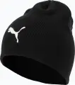 Шапка Puma INDWINTERIZED TECH BEANIE черная 024943-01