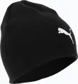 Шапка Puma INDWINTERIZED TECH BEANIE черная 024943-01