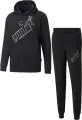 Спортивный костюм Puma ESSENTIALS BIG LOGO FLEECE черный 849864-01__849865-01
