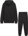 Спортивный костюм Puma TONAL COLLECTION черный 684391-01__684731-01