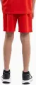 Шорты детские Puma TEAMRISE SHORT JR красные 704943-01