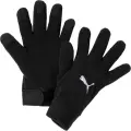 Перчатки футбольные Puma TEAMLIGA 21 WINTER черные 041706-01