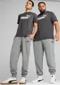 Спортивные штаны Puma ESSENTIALS NO. 1 LOGO серые 68260803