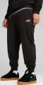Спортивні штани Puma ESSENTIALS NO. 1 LOGO чорні 68260801