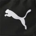 Сумка спортивна Puma TEAMGOAL 23 TEAMBAG 54L чорна 076859-03