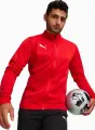 Олімпійка (мастерка) Puma TEAMGOAL червона 658633-01