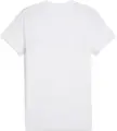 Футболка Puma TEAMEVOSTRIPE біло-сіра 659953-04