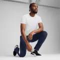 Футболка Puma TEAMEVOSTRIPE біло-сіра 659953-04