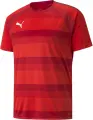 Футболка Puma TEAMVISION красная 704921-01