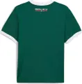Футболка Puma X PALMEIRAS RINGER (Палмейрас) темно-зелено-біла 629533-43