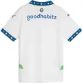 Футболка підліткова Puma PSV REPLICA (ПСВ) резервна біло-синьо-зелена 775166-03