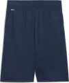 Шорти підліткові Puma ACTIVE SPORTS темно-сині 679218-14