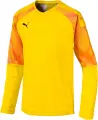 Воротарська кофта підліткова Puma CUP LONG SLEEVE GOALKEEPER JERSEY жовто-жовтогаряча 703772-45