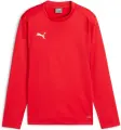 Світшот підлітковий Puma TEAMGOAL червоний 658651-01
