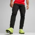 Спортивні штани Puma TEAMGOAL SIDELINE чорні 658625-03