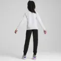 Спортивний костюм підлітковий Puma BASEBALL TRICOT світло-сіро-чорний 680506-42