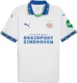 Футболка Puma PSV REPLICA (ПСВ) резервна біло-синьо-зелена 775164-03
