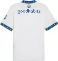 Футболка Puma PSV REPLICA (ПСВ) резервна біло-синьо-зелена 775164-03