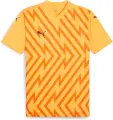 Футболка Puma TEAMGLORY помаранчева 705740-61