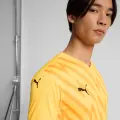 Футболка Puma TEAMGLORY помаранчева 705740-61