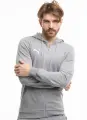 Спортивный костюм Puma TEAMGOAL CASUALS серый 658595-33&658598-33
