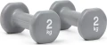 Гантелі Reebok DUMBBELLS сірі (2 х 2,0 кг) RAWT-16152