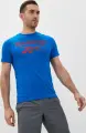 Футболка Reebok BIG LOGO TEE синьо-червона FP9149