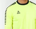 Вратарская футболка Select Argentina goalkeeper shirt желтая 622650-005