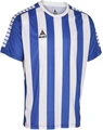 Футболка Select Argentina player shirt striped сине-белая 622600-021